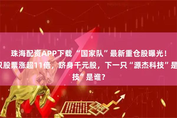 珠海配资APP下载 “国家队”最新重仓股曝光！这只股票涨超11倍，跻身千元股，下一只“源杰科技”是谁？