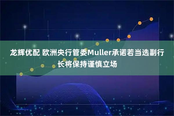 龙辉优配 欧洲央行管委Muller承诺若当选副行长将保持谨慎立场