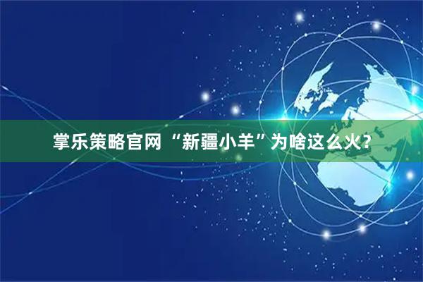 掌乐策略官网 “新疆小羊”为啥这么火？