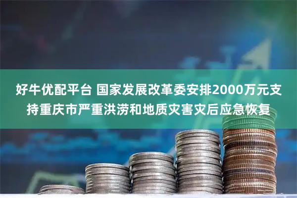 好牛优配平台 国家发展改革委安排2000万元支持重庆市严重洪涝和地质灾害灾后应急恢复